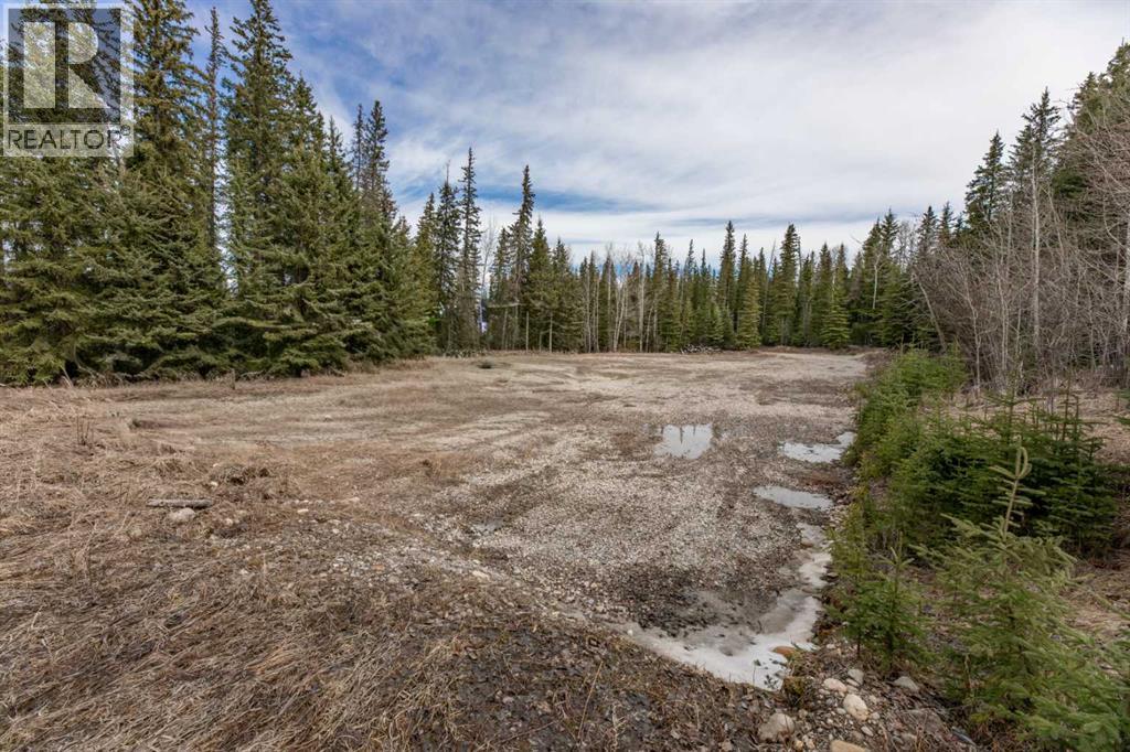 129 Moberly Drive, Hinton, Alberta  T7V 1Z1 - Photo 7 - A2305276