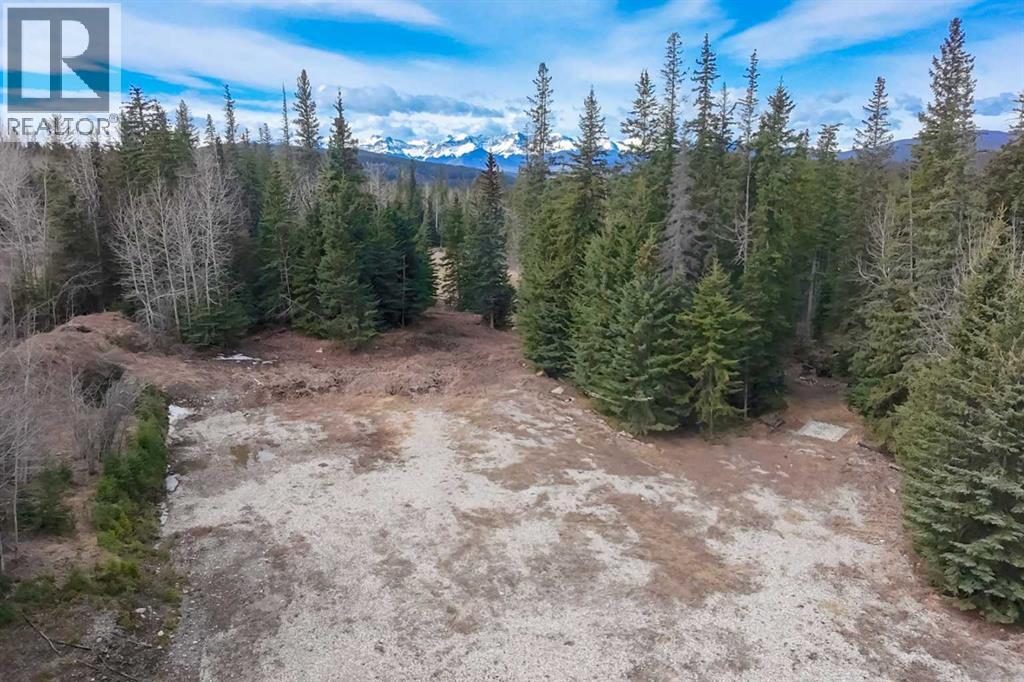 129 Moberly Drive, Hinton, Alberta  T7V 1Z1 - Photo 8 - A2305276