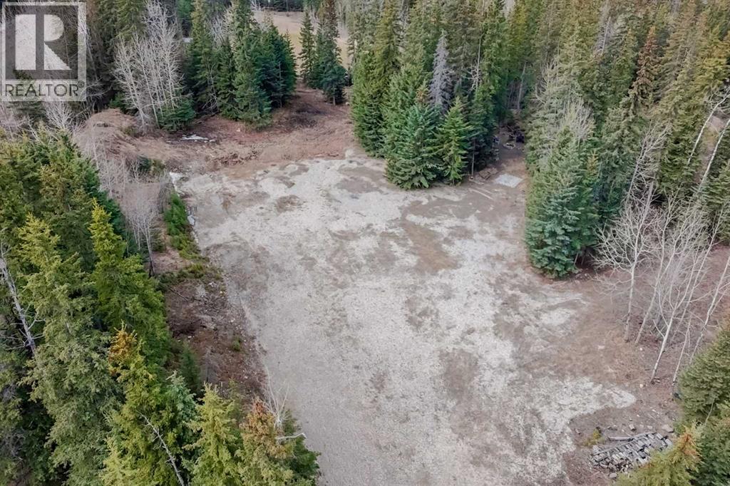 129 Moberly Drive, Hinton, Alberta  T7V 1Z1 - Photo 9 - A2305276