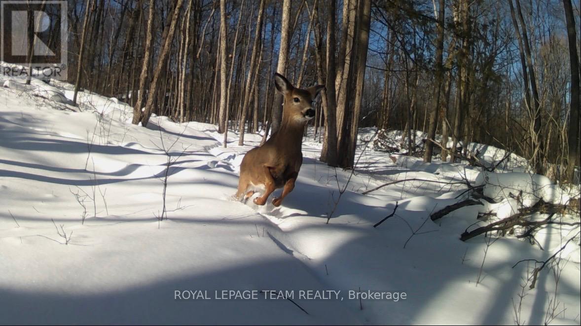 1783 Old Carp Road, Ottawa, Ontario  K0A 1L0 - Photo 11 - X12955926