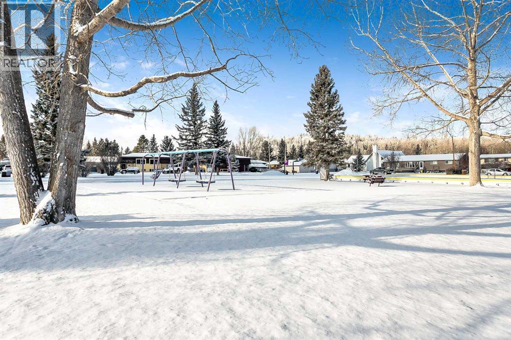 218 8 Avenue NE, Sundre, Alberta  T0M 1X0 - Photo 3 - A2295466
