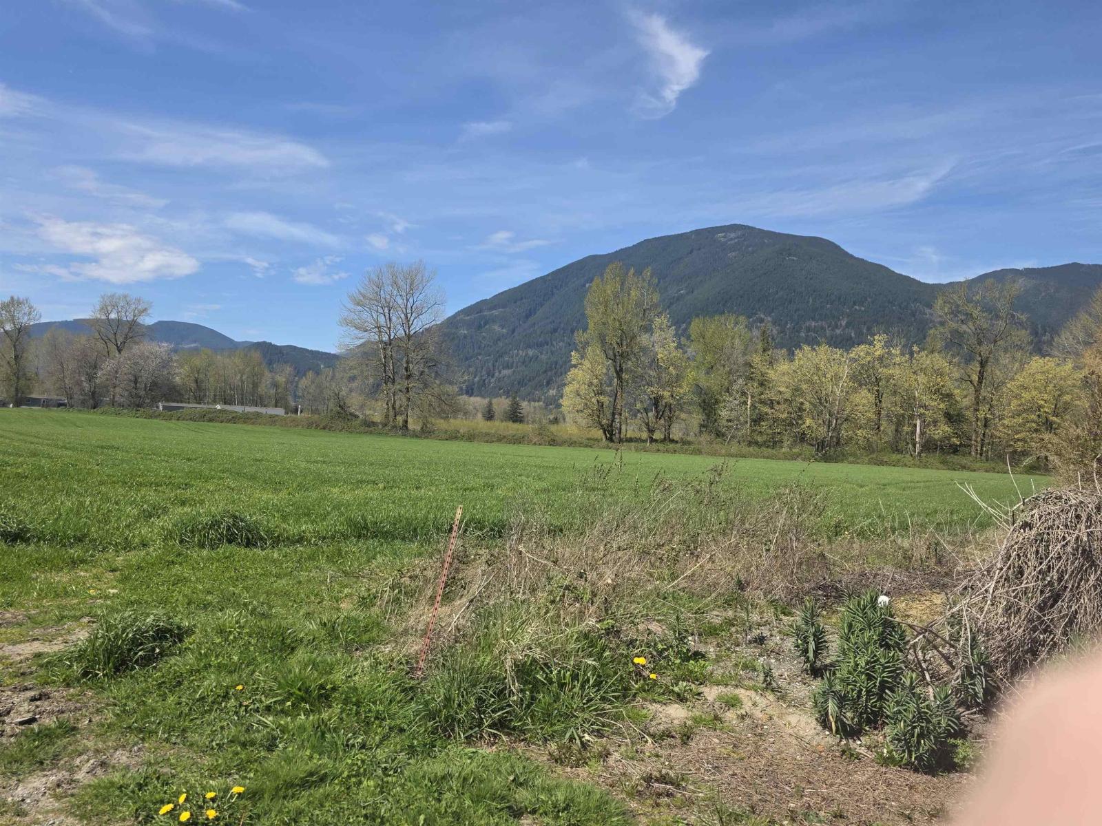 41582 Nicomen Island Trunk Road, Mission, British Columbia  V0M 1G0 - Photo 10 - R3086902