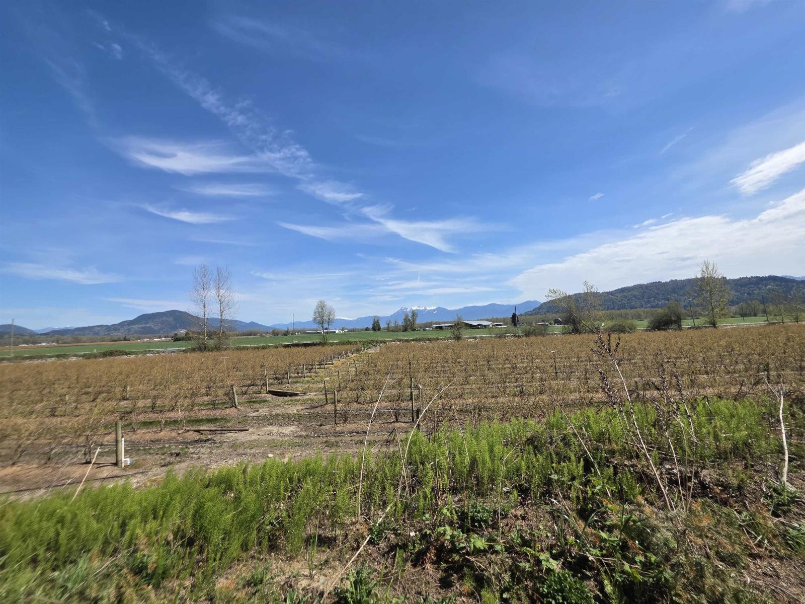 41582 Nicomen Island Trunk Road, Mission, British Columbia  V0M 1G0 - Photo 20 - R3086902