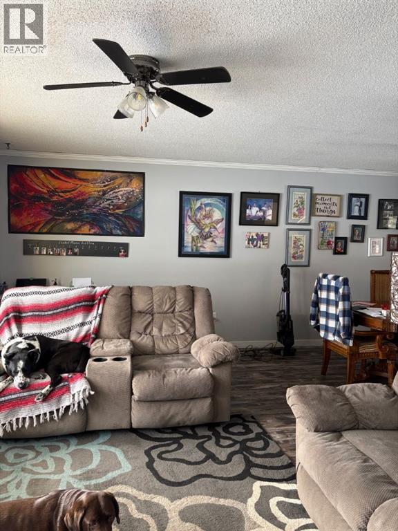 8706 95 Street, Peace River, Alberta  T8S 1M7 - Photo 9 - A2294289