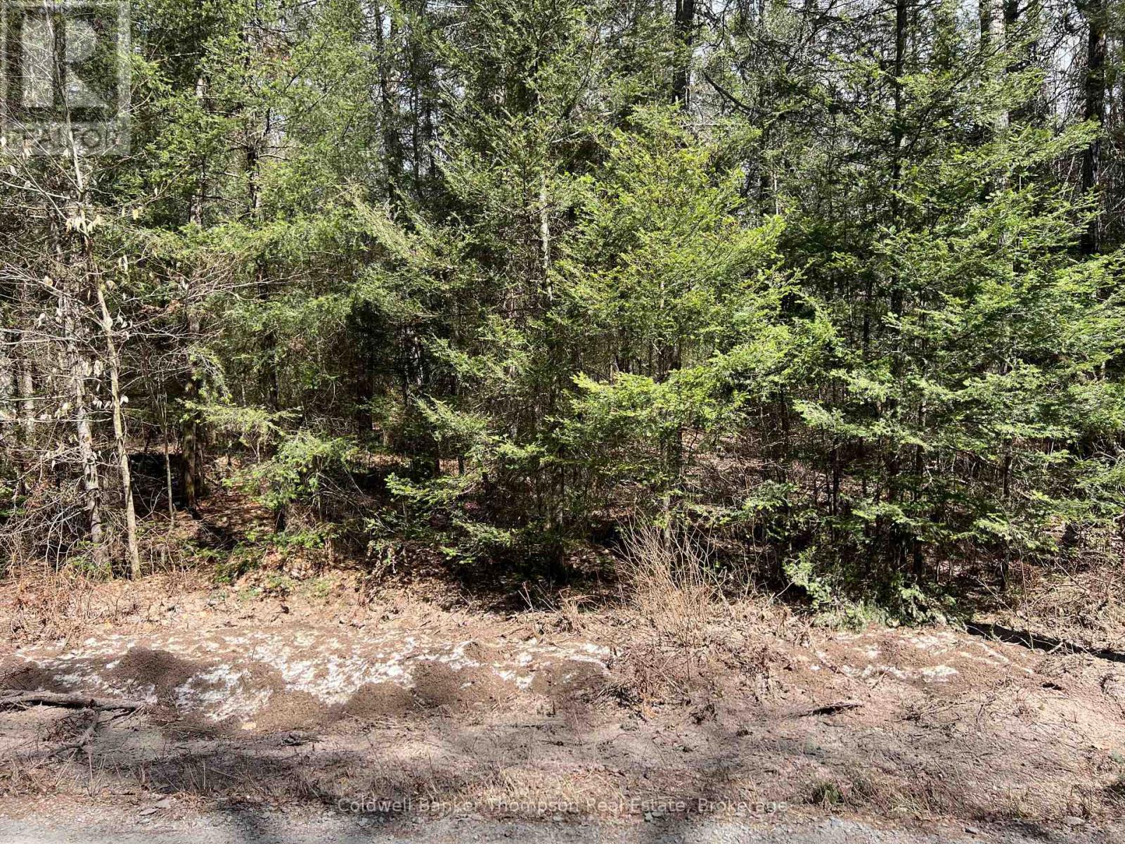 0 Lot 2 Sand Hill Road, Joly, Ontario  P0A 1Z0 - Photo 3 - X13045906