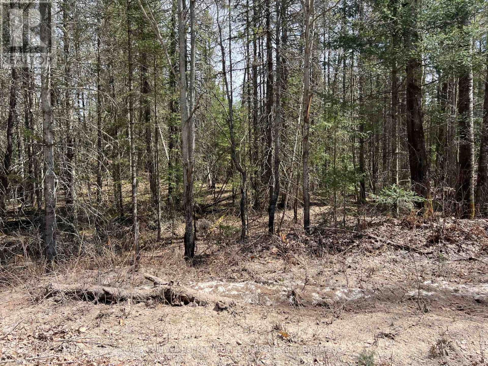 0 Lot 3 Sand Hill Road, Joly, Ontario  P0A 1Z0 - Photo 3 - X13045926