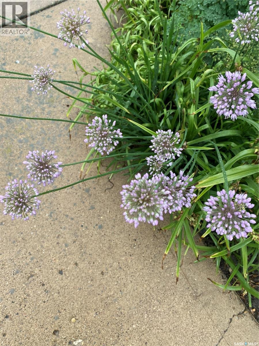 254 2nd Avenue E, Gravelbourg, Saskatchewan  S0H 1X0 - Photo 56 - SK033895