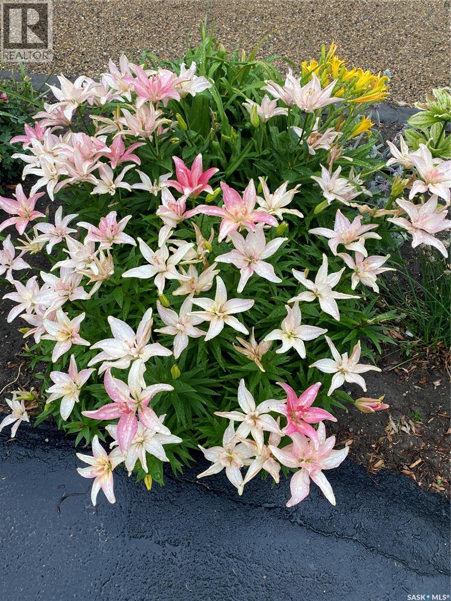 254 2nd Avenue E, Gravelbourg, Saskatchewan  S0H 1X0 - Photo 59 - SK033895