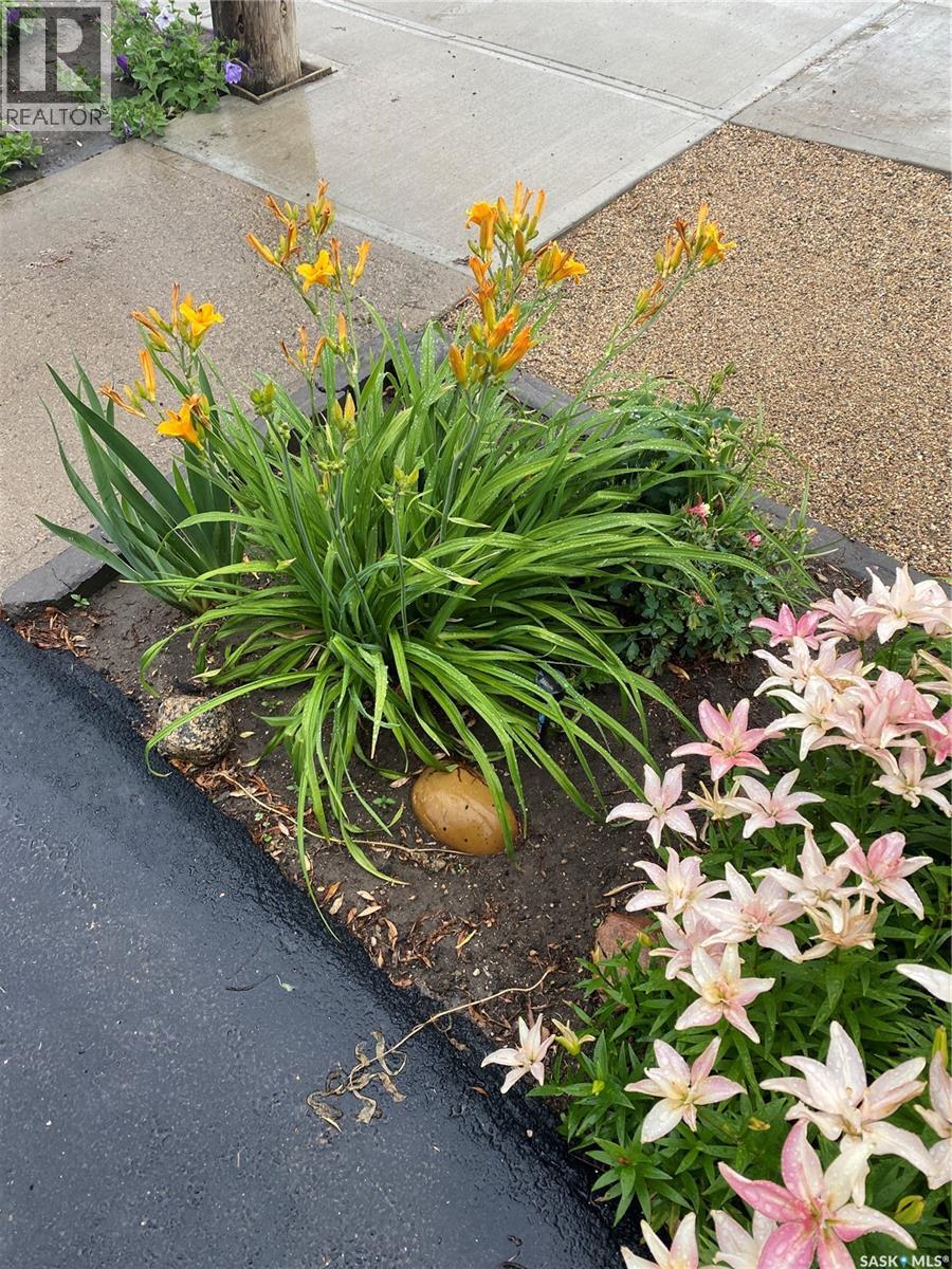 254 2nd Avenue E, Gravelbourg, Saskatchewan  S0H 1X0 - Photo 58 - SK033895