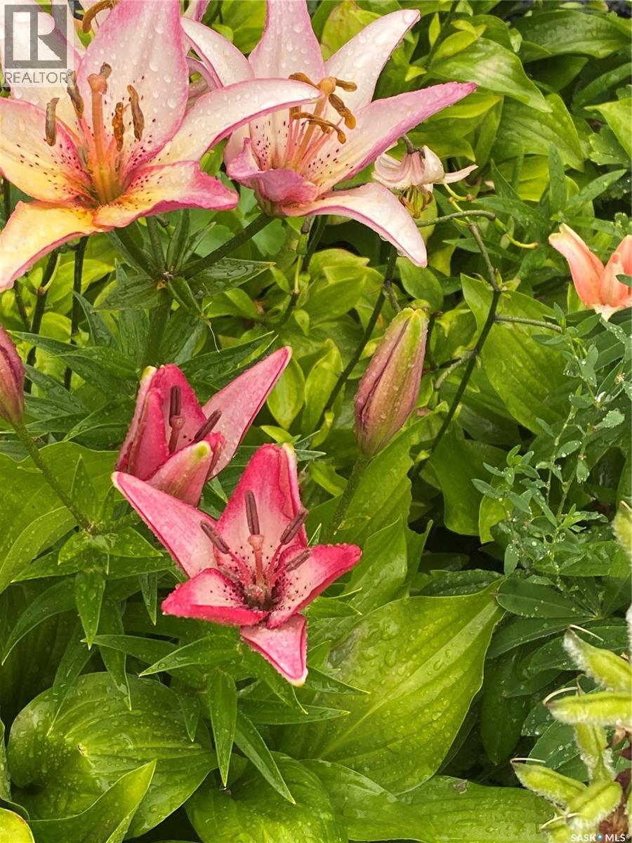 254 2nd Avenue E, Gravelbourg, Saskatchewan  S0H 1X0 - Photo 65 - SK033895