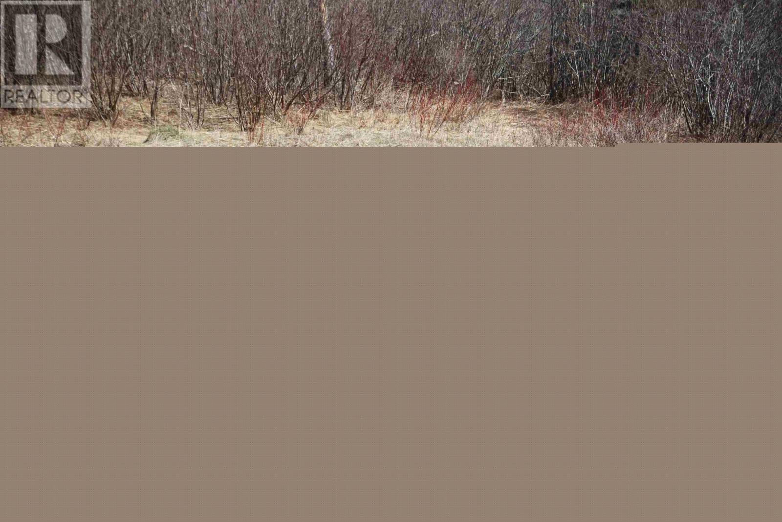 74 Barren Rd., River Denys Road, River Denys, Nova Scotia  B0E 2Y0 - Photo 50 - 202608631