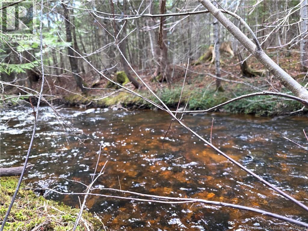 0 Crest Avenue, Heathland, New Brunswick  E3L 5C1 - Photo 18 - NB131431