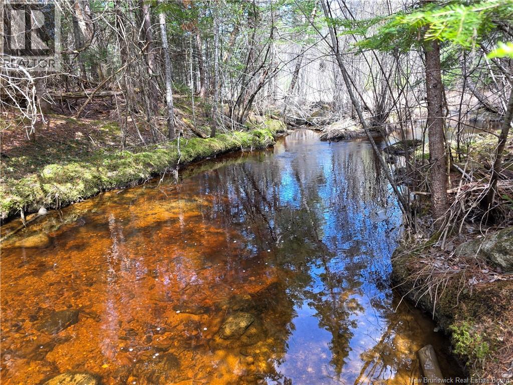 0 Crest Avenue, Heathland, New Brunswick  E3L 5C1 - Photo 15 - NB131431