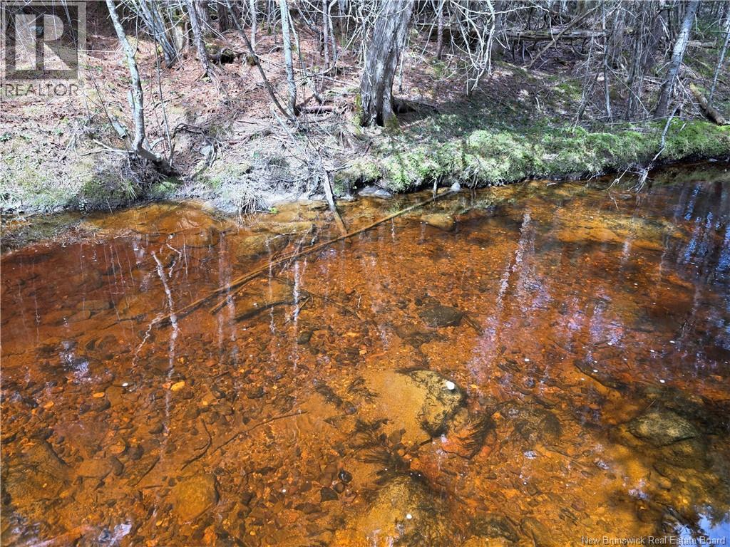 0 Crest Avenue, Heathland, New Brunswick  E3L 5C1 - Photo 16 - NB131431