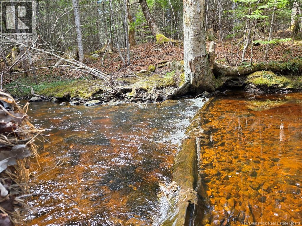 0 Crest Avenue, Heathland, New Brunswick  E3L 5C1 - Photo 17 - NB131431