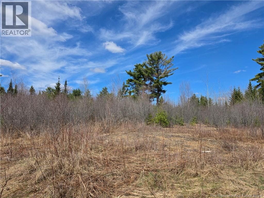 0 Crest Avenue, Heathland, New Brunswick  E3L 5C1 - Photo 7 - NB131431