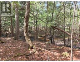 0 Crest Avenue, Heathland, New Brunswick