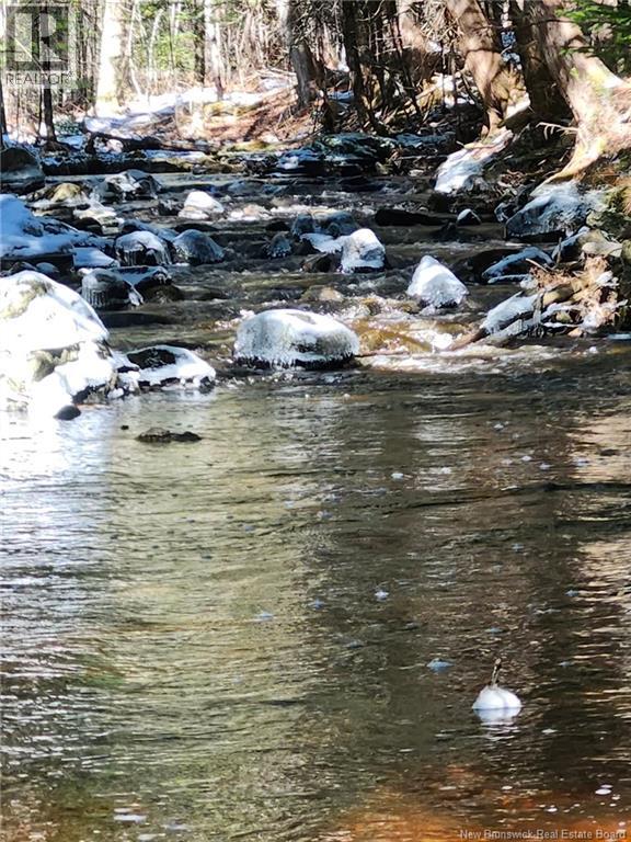 00 Crest Avenue, Heathland, New Brunswick  E3L 5C1 - Photo 1 - NB131432