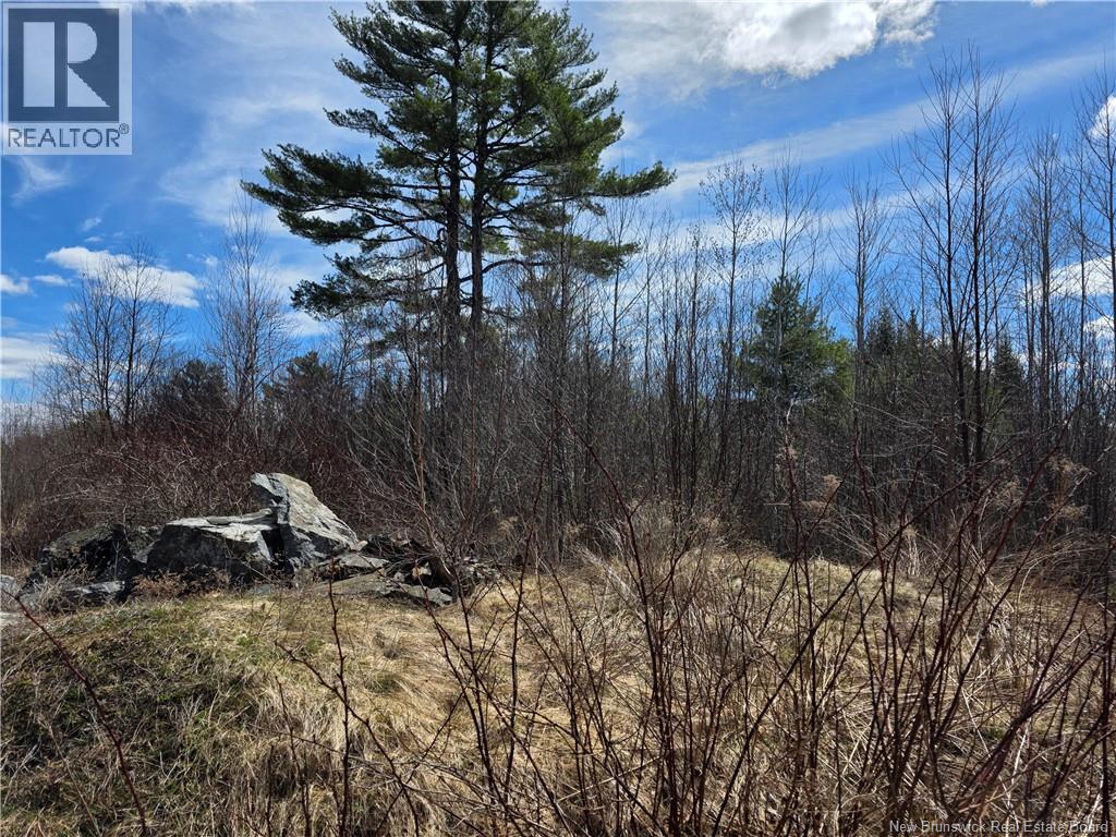 00 Crest Avenue, Heathland, New Brunswick  E3L 5C1 - Photo 2 - NB131432