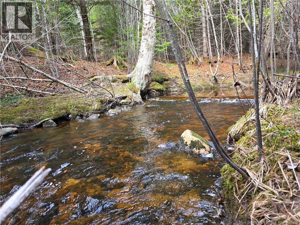 00 Crest Avenue, Heathland, New Brunswick  E3L 5C1 - Photo 4 - NB131432