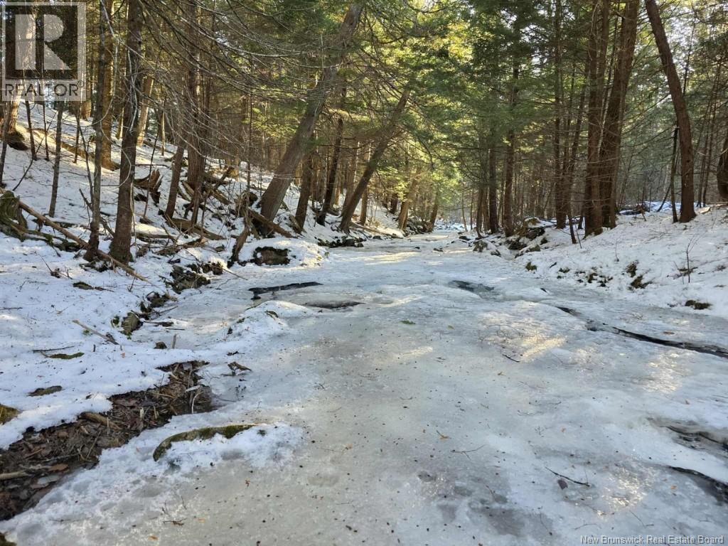 00 Crest Avenue, Heathland, New Brunswick  E3L 5C1 - Photo 15 - NB131432