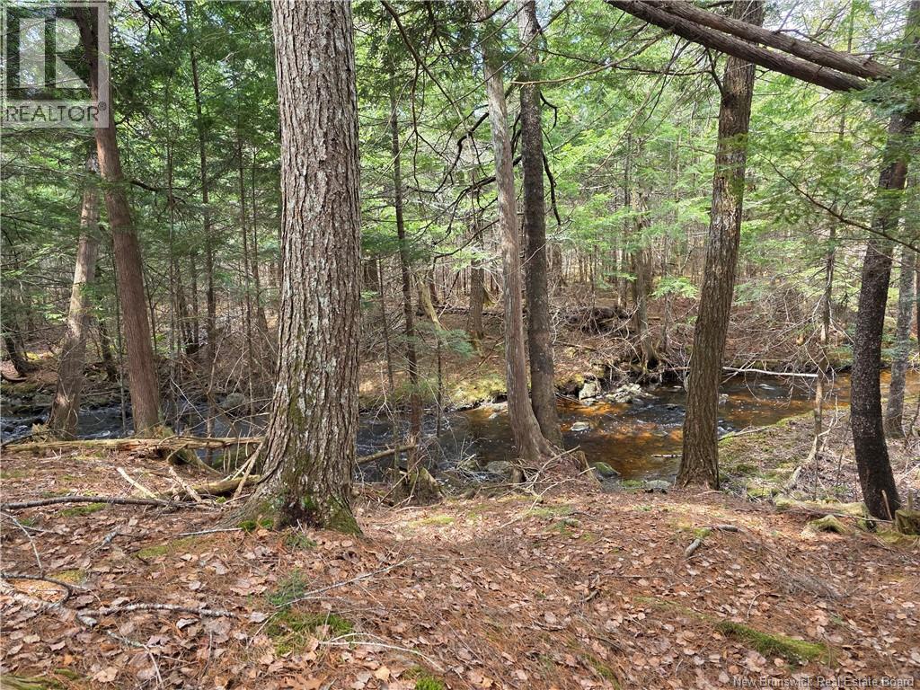 00 Crest Avenue, Heathland, New Brunswick  E3L 5C1 - Photo 22 - NB131432