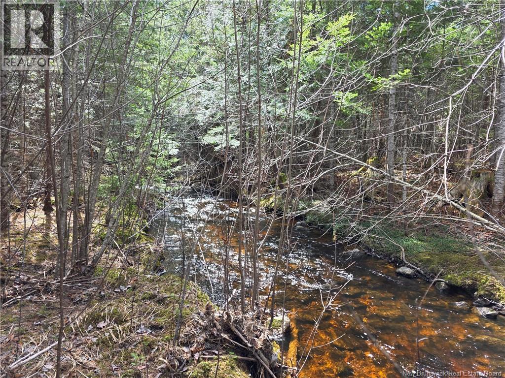 00 Crest Avenue, Heathland, New Brunswick  E3L 5C1 - Photo 16 - NB131432