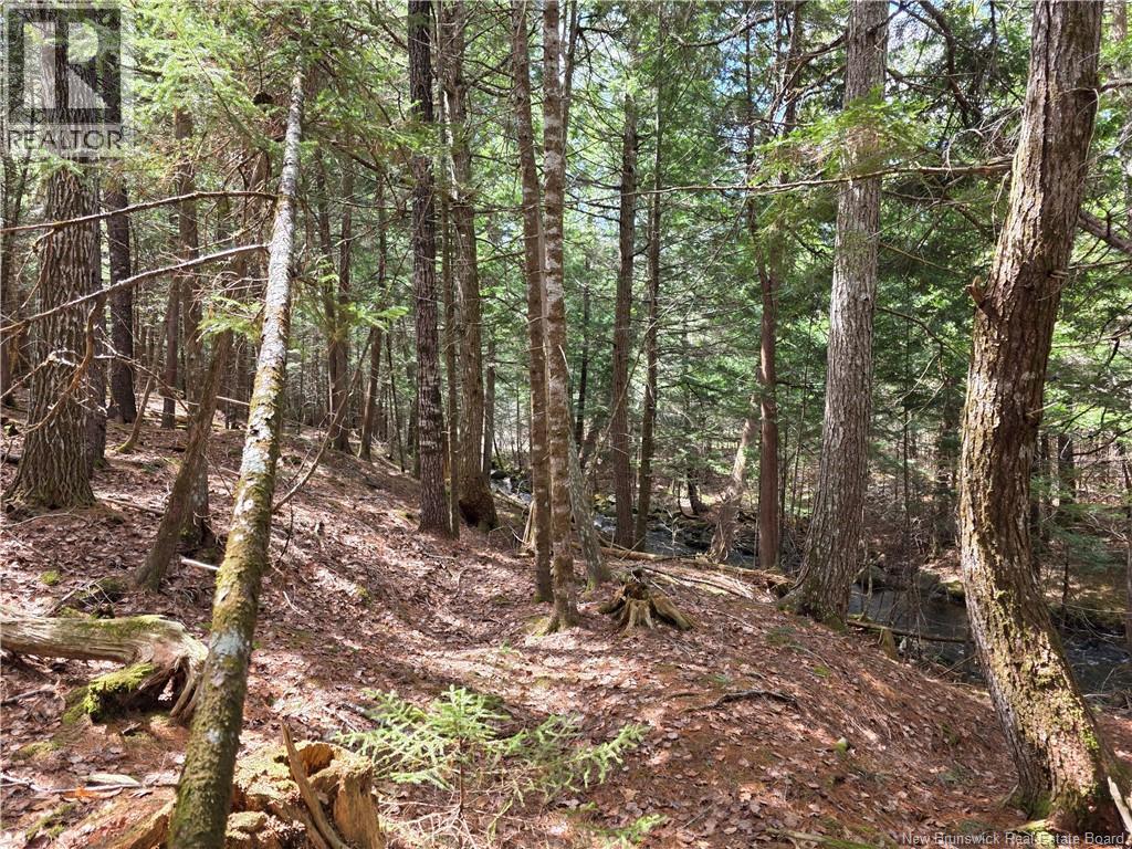 00 Crest Avenue, Heathland, New Brunswick  E3L 5C1 - Photo 14 - NB131432