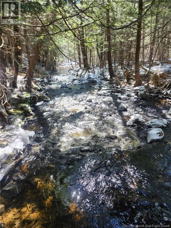 00 Crest Avenue, Heathland, New Brunswick  E3L 5C1 - Photo 18 - NB131432