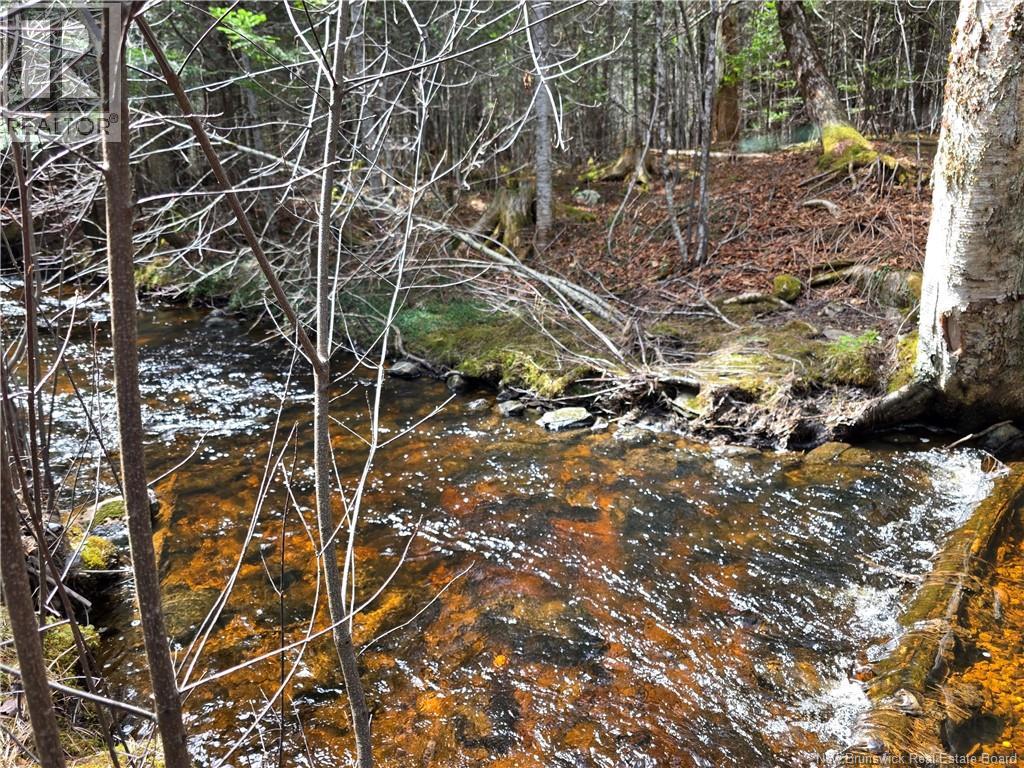 00 Crest Avenue, Heathland, New Brunswick  E3L 5C1 - Photo 12 - NB131432