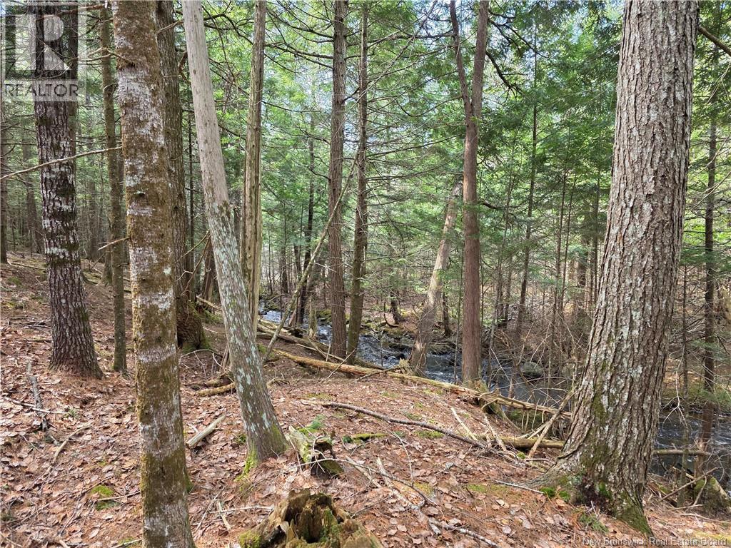 00 Crest Avenue, Heathland, New Brunswick  E3L 5C1 - Photo 21 - NB131432