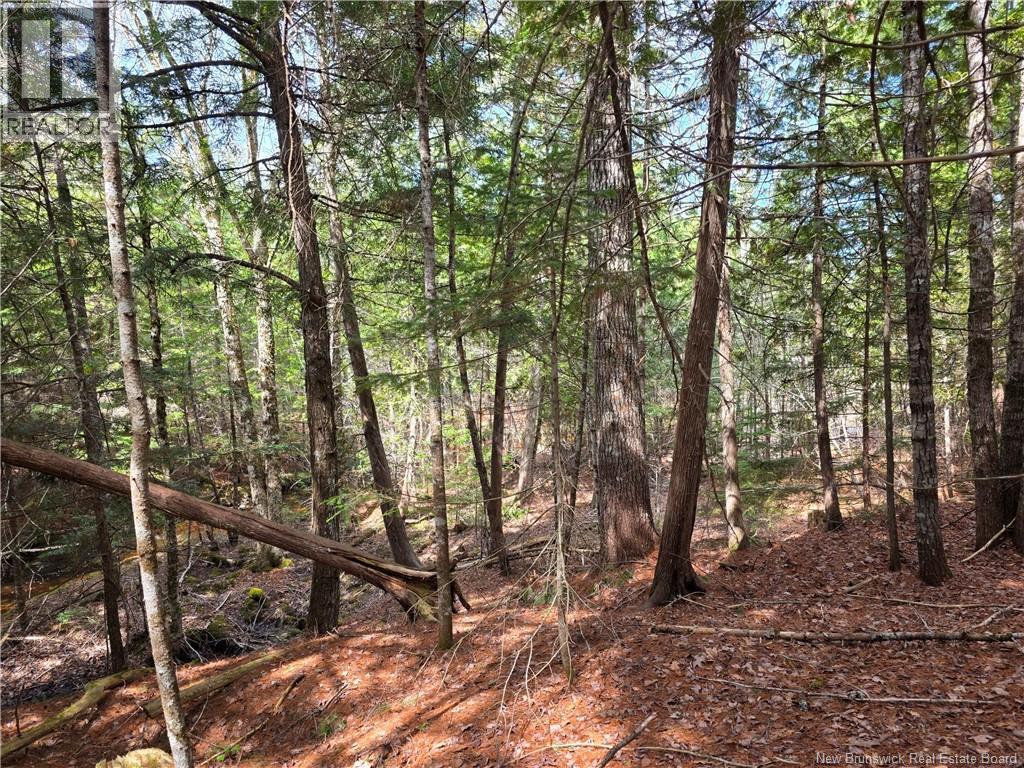 00 Crest Avenue, Heathland, New Brunswick  E3L 5C1 - Photo 17 - NB131432