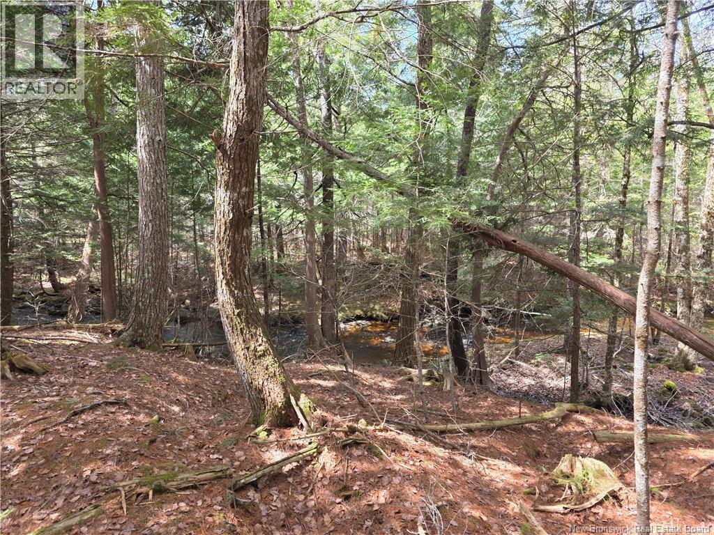 00 Crest Avenue, Heathland, New Brunswick  E3L 5C1 - Photo 19 - NB131432