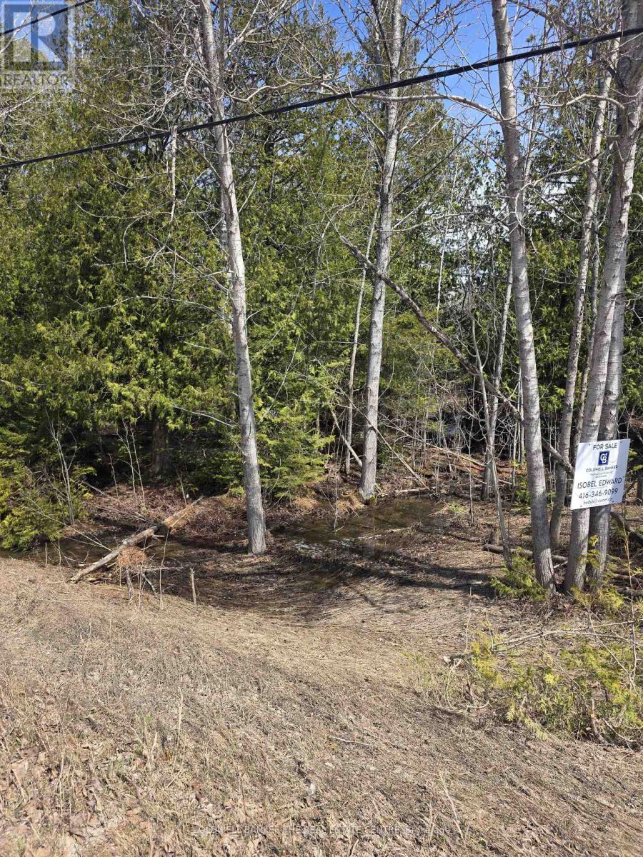 13476 Hwy. 542 Highway, Gordon/barrie Island, Ontario  P0P 1H0 - Photo 3 - X13041160