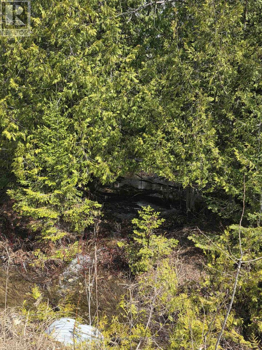 13476 Hwy. 542 Highway, Gordon/barrie Island, Ontario  P0P 1H0 - Photo 4 - X13041160