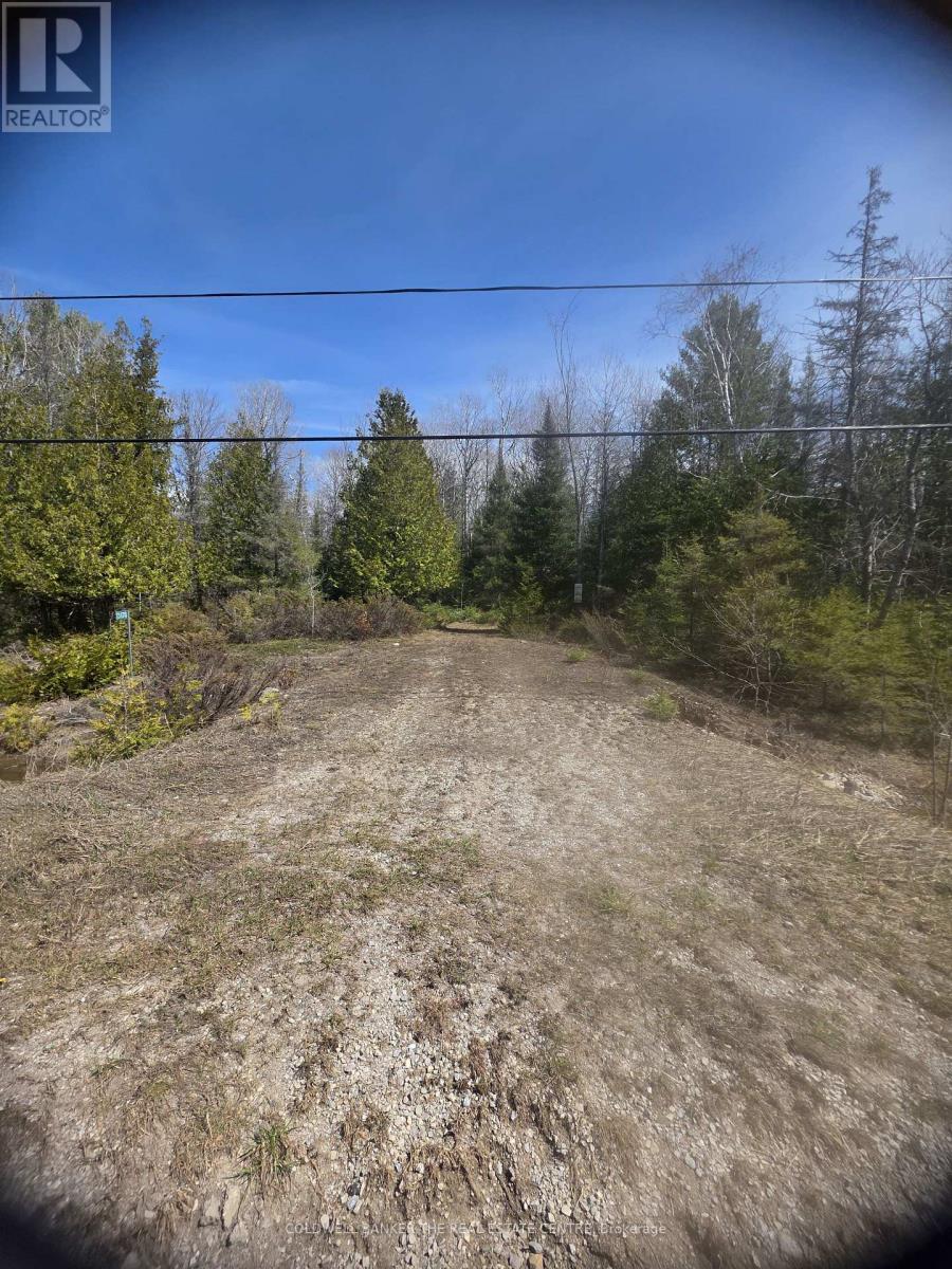 13476 Hwy. 542 Highway, Gordon/barrie Island, Ontario  P0P 1H0 - Photo 5 - X13041160