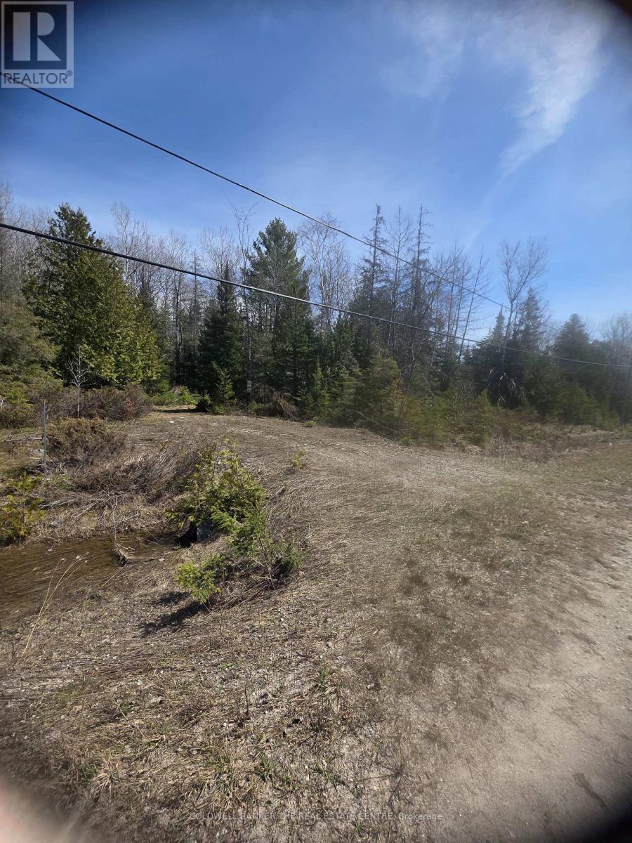 13476 Hwy. 542 Highway, Gordon/barrie Island, Ontario  P0P 1H0 - Photo 6 - X13041160