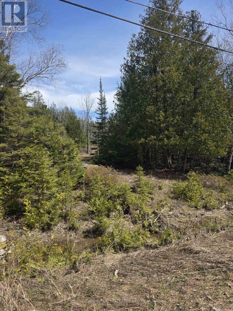 13476 Hwy. 542 Highway, Gordon/barrie Island, Ontario  P0P 1H0 - Photo 2 - X13041160