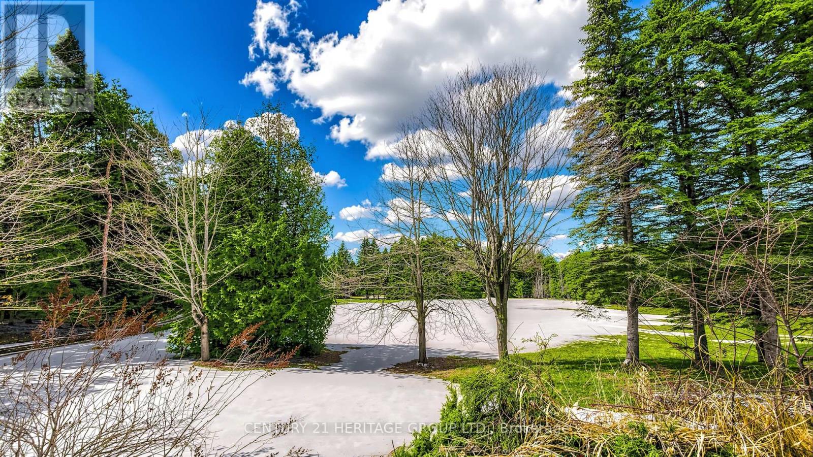 21455 Warden Avenue, East Gwillimbury, Ontario  L0G 1R0 - Photo 41 - N13046036