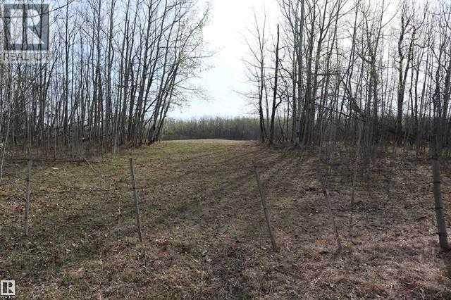 Pt Of Nw 31-46-1-W5, Rural Wetaskiwin No. 10, Alberta  T0C 2V0 - Photo 10 - A2305356