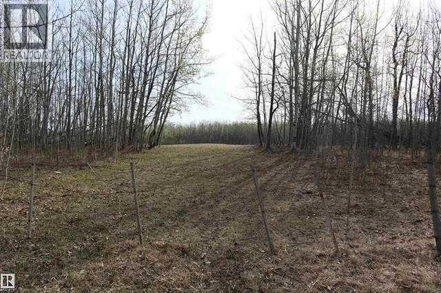 Pt Of Nw 31-46-1-W5, Rural Wetaskiwin No. 10, Alberta  T0C 2V0 - Photo 9 - A2305356