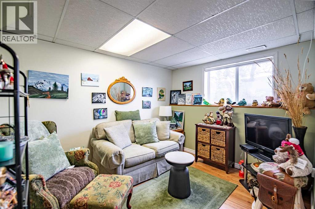 5116 54 Avenue, Eckville, Alberta  T0M 0X0 - Photo 24 - A2304745