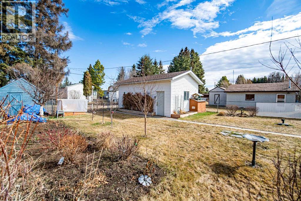 5116 54 Avenue, Eckville, Alberta  T0M 0X0 - Photo 6 - A2304745