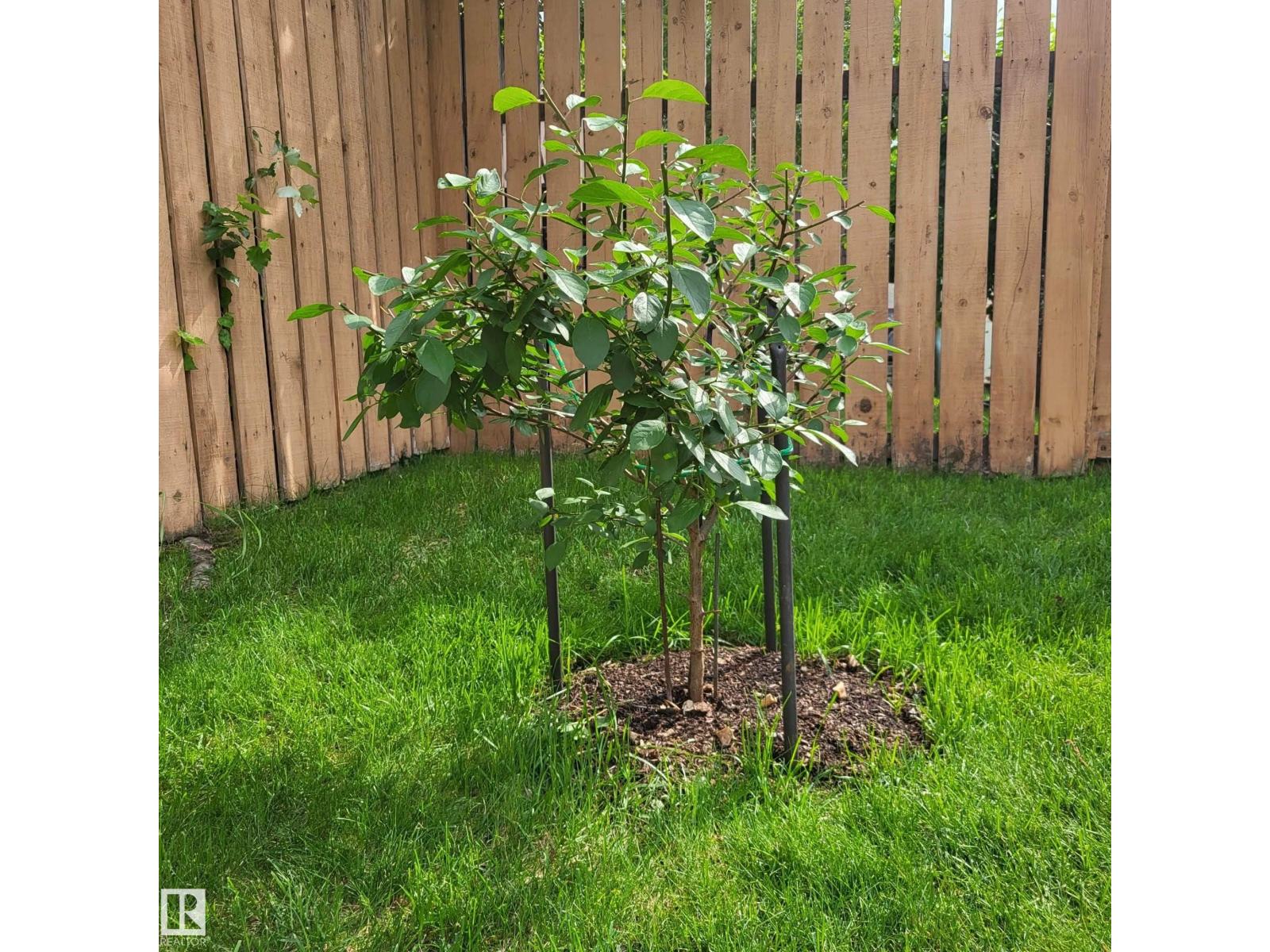 3627 146 Av Nw, Edmonton, Alberta  T5Y 2J6 - Photo 67 - E4484203