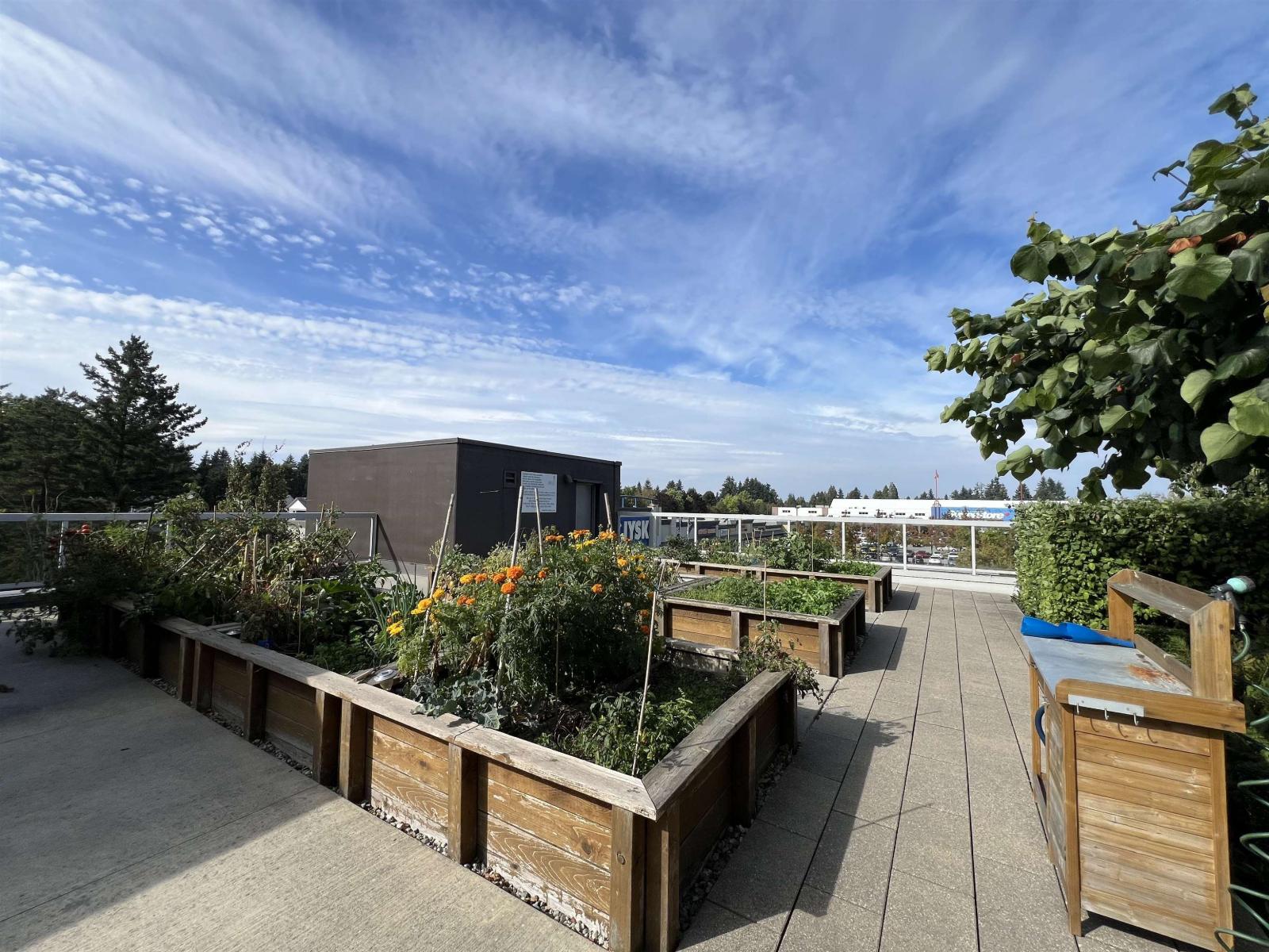 3305 11967 80 Avenue, Delta, British Columbia  V4C 0E2 - Photo 11 - R3107797