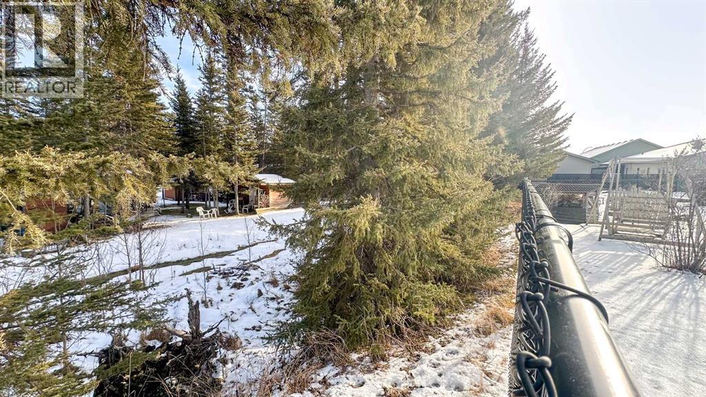 603 5 Street SW, Sundre, Alberta  T0M 1X0 - Photo 36 - A2283568