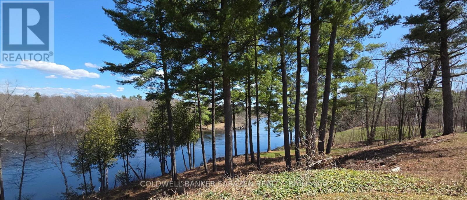 175 Charles Street, Arnprior, Ontario  K7S 3V5 - Photo 5 - X13046114