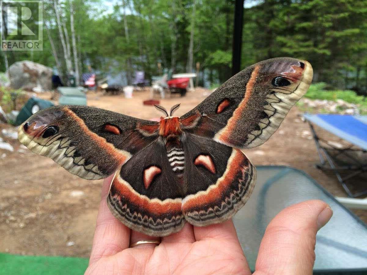 11 Lakeshore Drive, Aylesford Lake, Nova Scotia  B0P 1C0 - Photo 12 - 202518085