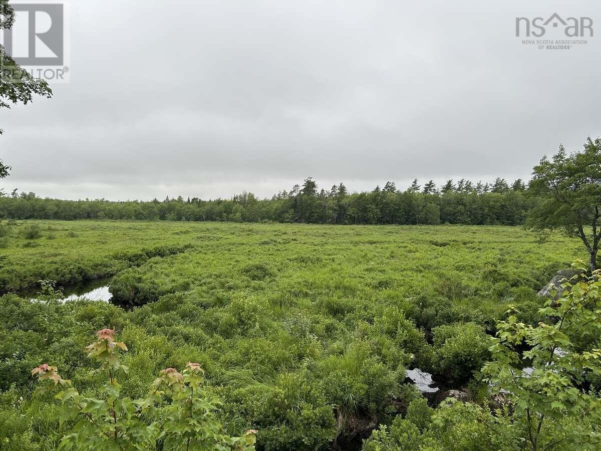 11 Lakeshore Drive, Aylesford Lake, Nova Scotia  B0P 1C0 - Photo 37 - 202518085