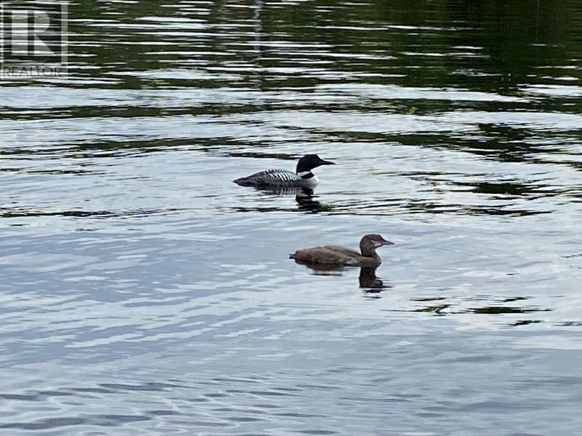11 Lakeshore Drive, Aylesford Lake, Nova Scotia  B0P 1C0 - Photo 29 - 202518085